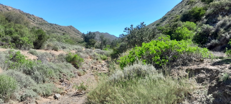 Commercial Property for Sale in Montagu Rural Western Cape